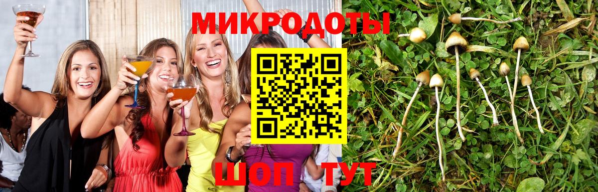 Галлюциногенные грибы Magic Shrooms  Вход с VPN  Александров 